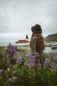 vik church and lupin flower