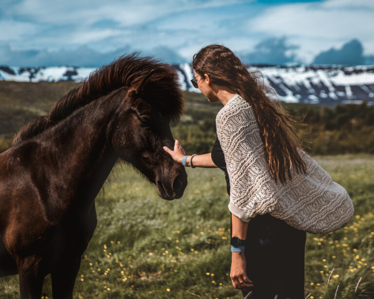 Iceland’s Ultimate 15-Day Camper Van Itinerary (Ring Road)