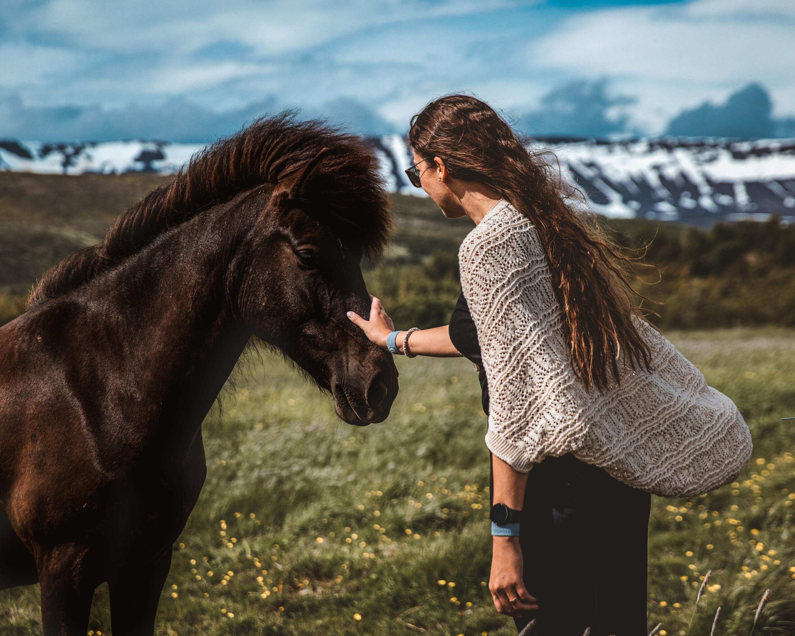 Iceland’s Ultimate 15-Day Camper Van Itinerary (Ring Road)